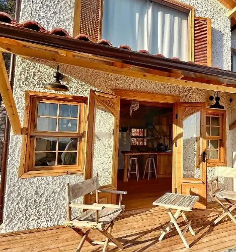 فيلة Loft Country